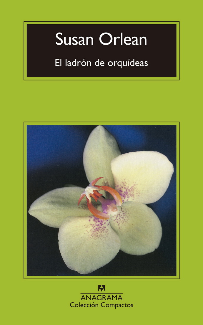 Ladrón de orquídeas, El